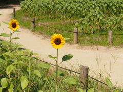 P8080022