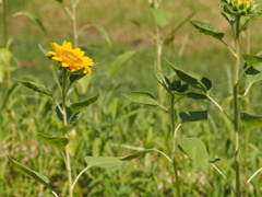 P8080013