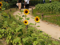 P8080023