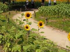 P8080024