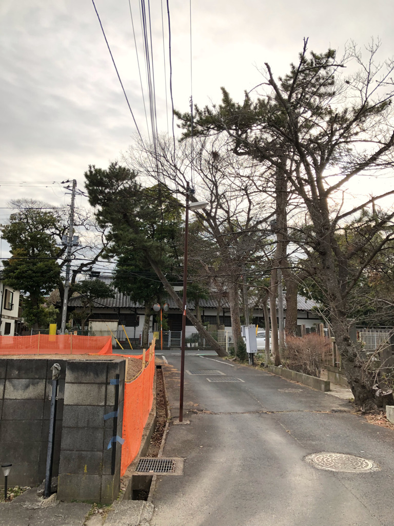 ムーンウォーカー