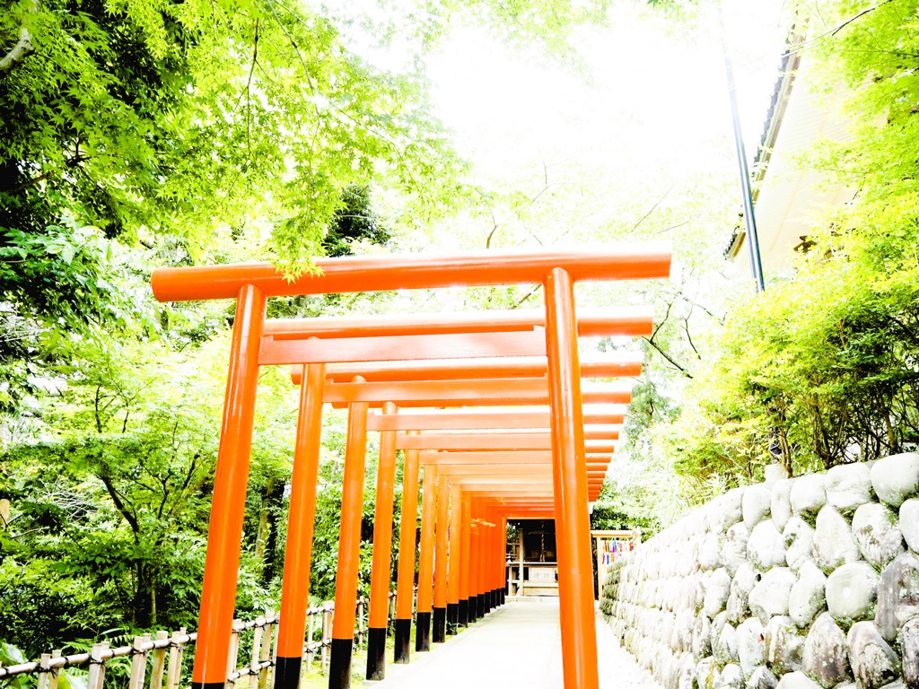 鳥居と緑