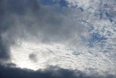 DSC08059