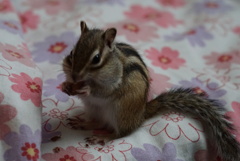 DSC05026