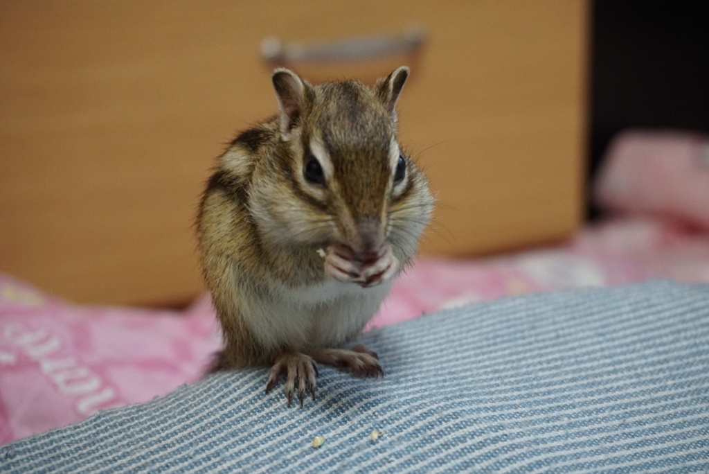 DSC07152