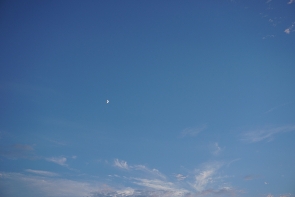 DSC03251_1