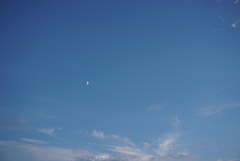 DSC03251_1