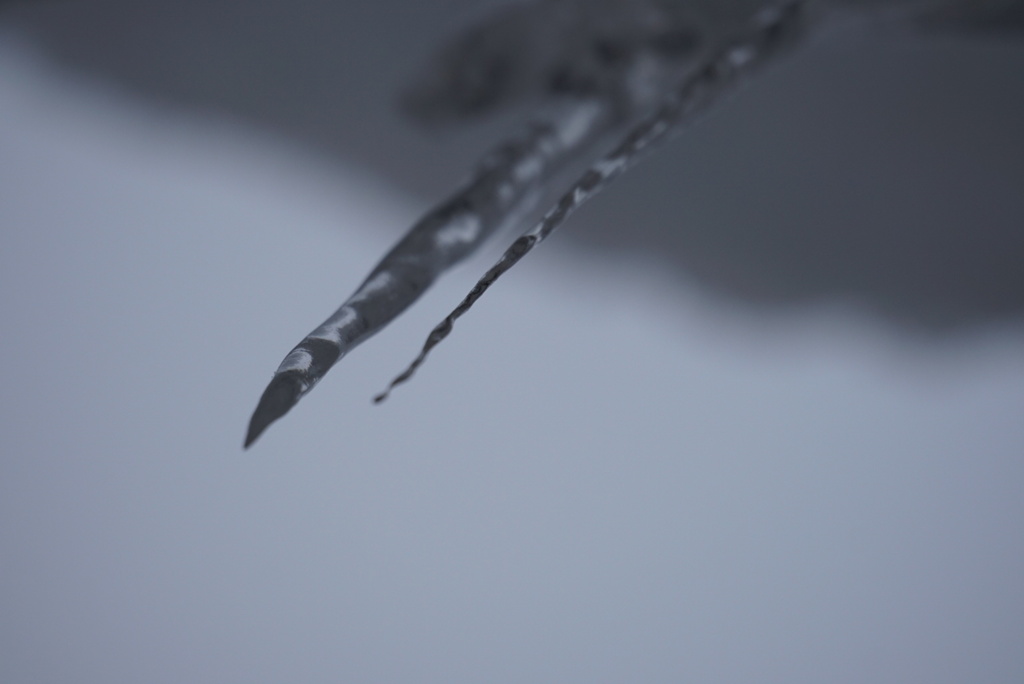 DSC03771_1