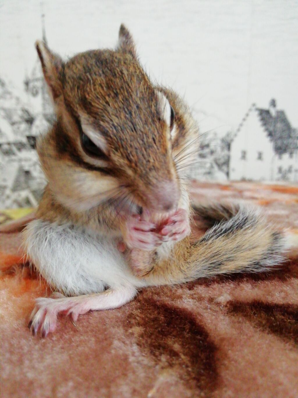 IMG_20230224_143615_BURST001_COVER