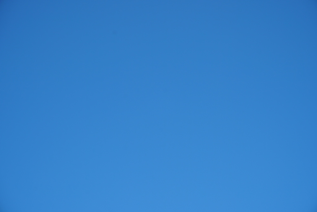 DSC00215_1
