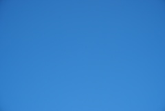 DSC00215_1