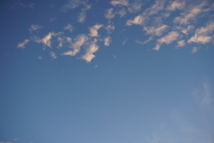 DSC03254