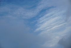 DSC07553