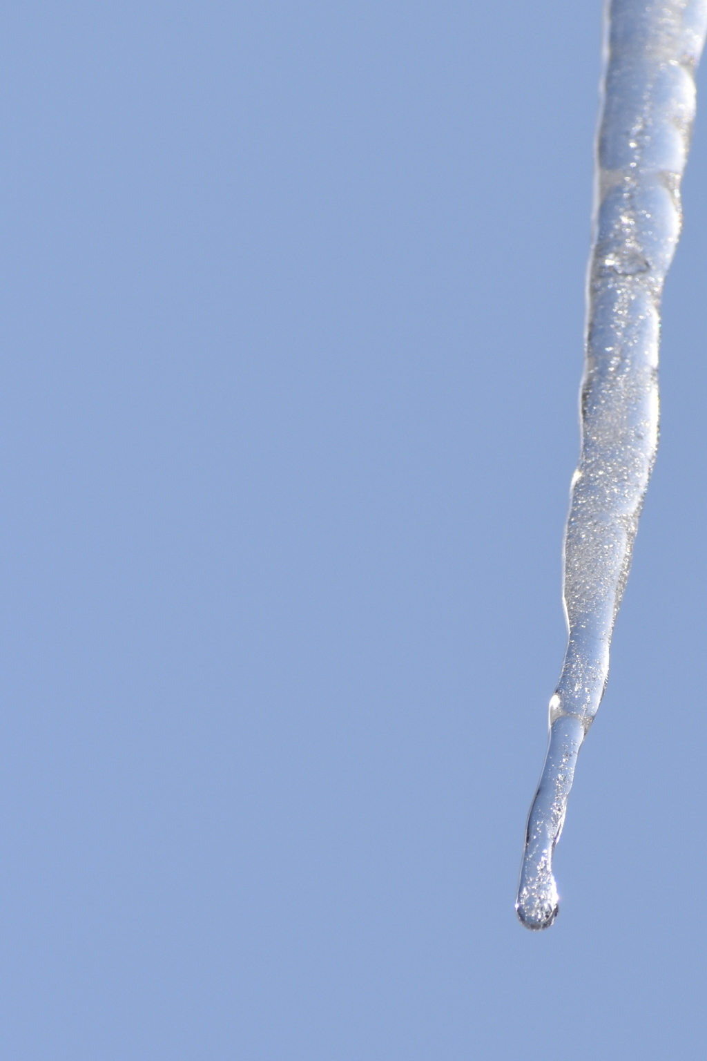 DSC_0982_5