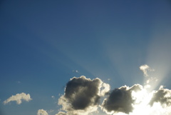 DSC01780