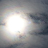 DSC01592