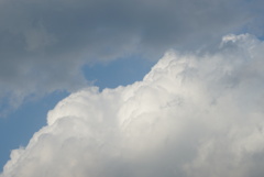 DSC02786_1