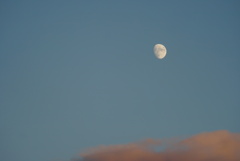 DSC00676_1