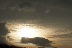 DSC01188