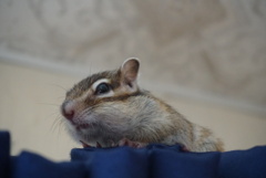 DSC01201