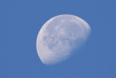 青空に浮かぶ月