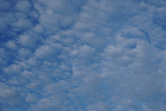 DSC06861_1