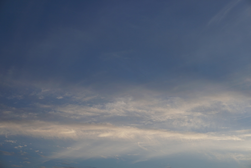 DSC01798