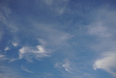 DSC00074