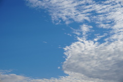 DSC02866