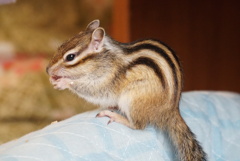 DSC05898