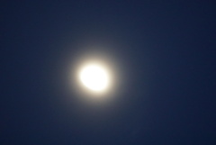 DSC08250_1