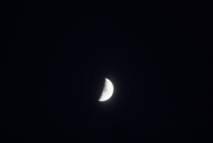 DSC02315_1