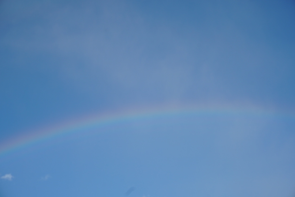 DSC06173_1
