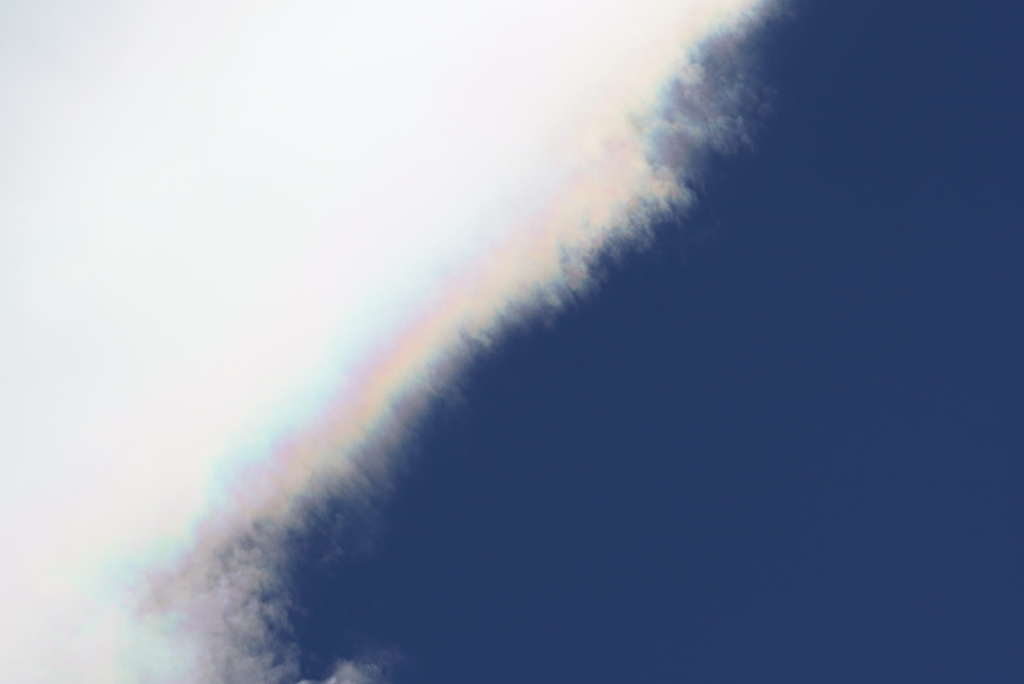 DSC01307_1