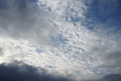 DSC08061