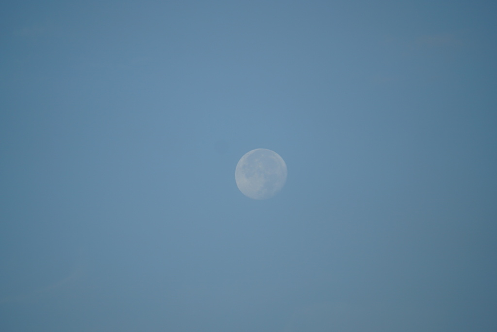 DSC06099_1