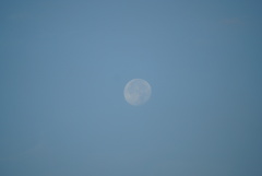 DSC06099_1