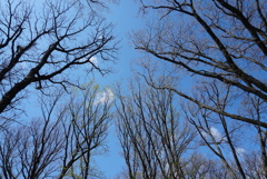 青空