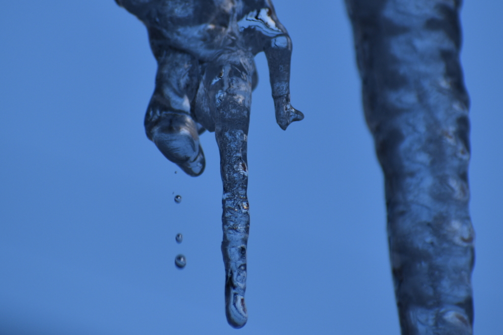 DSC_2903