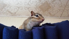 IMG_20230706_154755