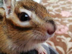 IMG_20220228_135258_1