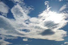 DSC04390_1