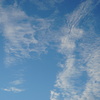 DSC05155