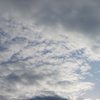 DSC07677
