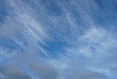 DSC01526_1