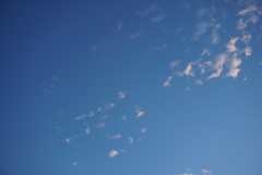 DSC03250_1