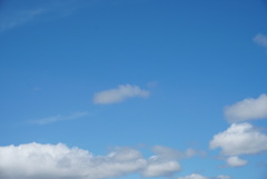 DSC09916