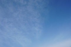 DSC08804