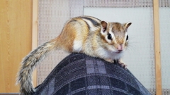 IMG_20230402_130339