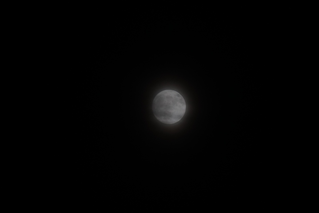 DSC00841